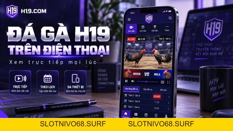 Đá Gà H19 – Theo Dõi Đá Gà Trực Tiếp Online