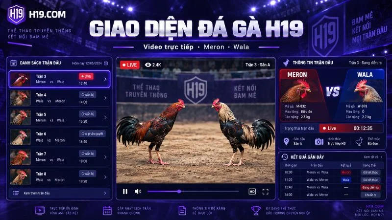 Đá Gà H19 – Theo Dõi Đá Gà Trực Tiếp Online