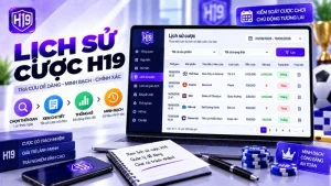 Hướng Dẫn H19 – Cách Sử Dụng H19 Chi Tiết Từ A-Z