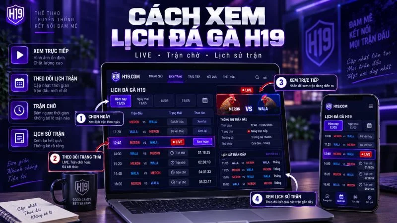 Đá Gà H19 – Theo Dõi Đá Gà Trực Tiếp Online